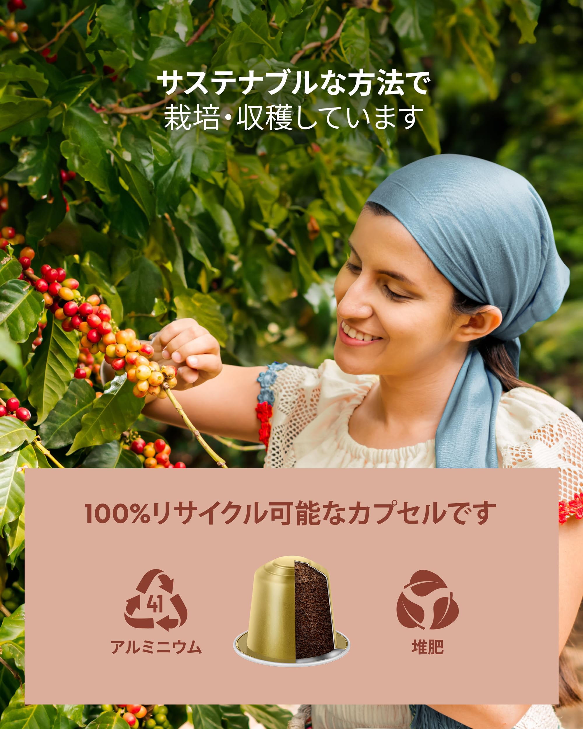 Amazon.co.jp: Rosso Caffe